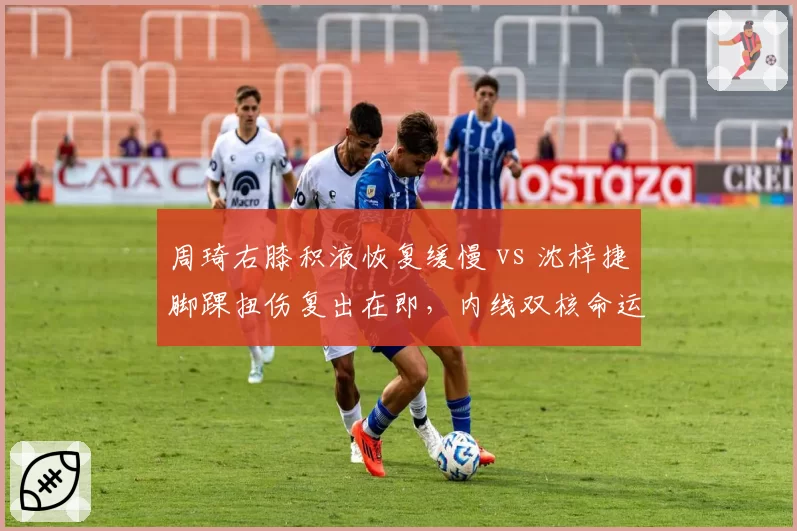 周琦右膝积液恢复缓慢 vs 沈梓捷脚踝扭伤复出在即,内线双核命运迥异