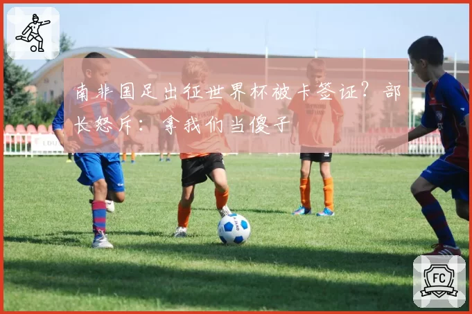 南非国足出征世界杯被卡签证?部长怒斥:拿我们当傻子