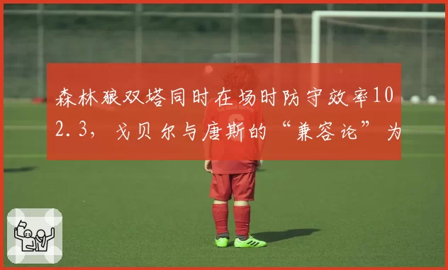 森林狼双塔同时在场时防守效率102.3,戈贝尔与唐斯的“兼容论”为何仍被诟病?